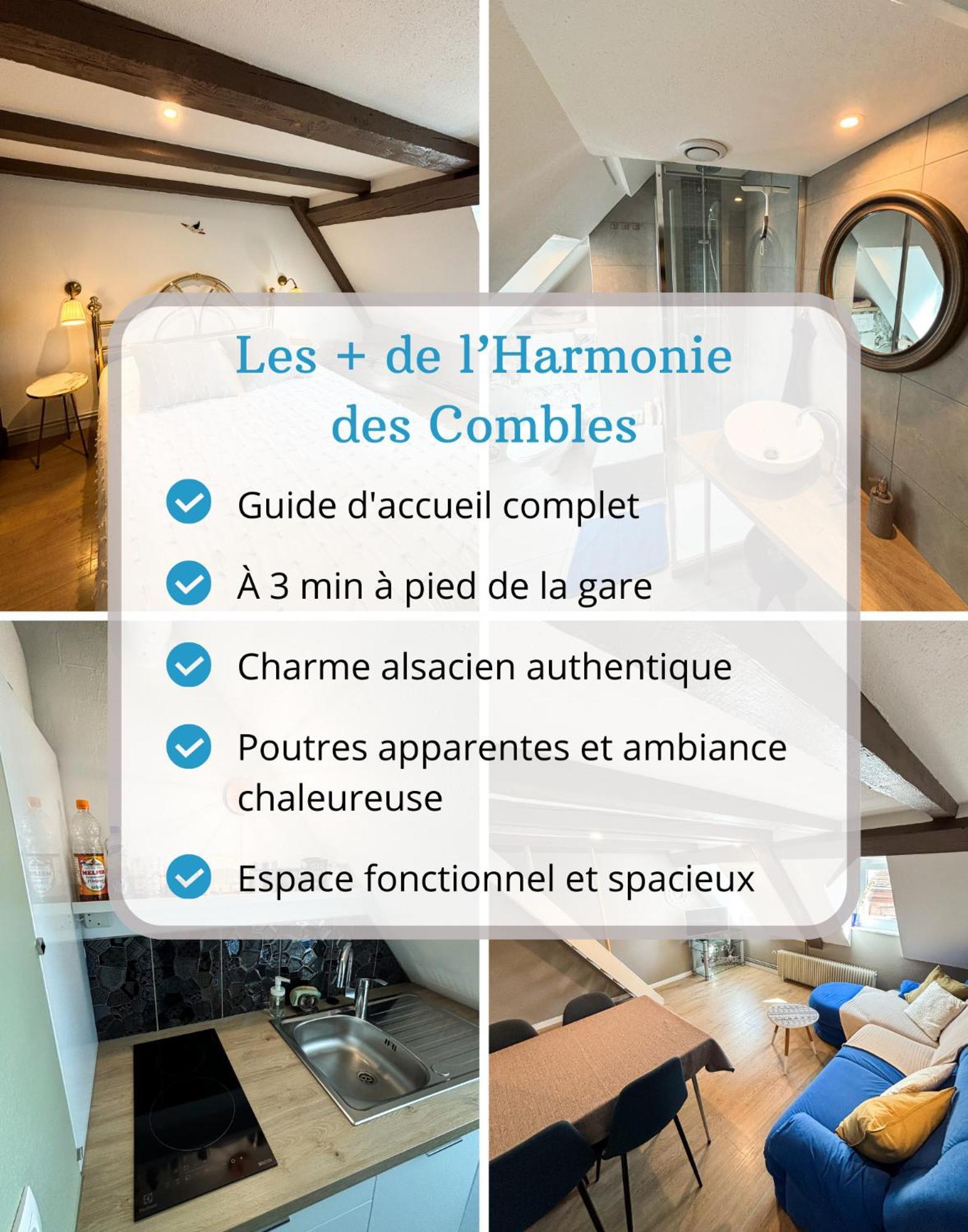 L'harmonie Des Combles - Proche Gare - Petite France - Commerces A Proximite Apartment