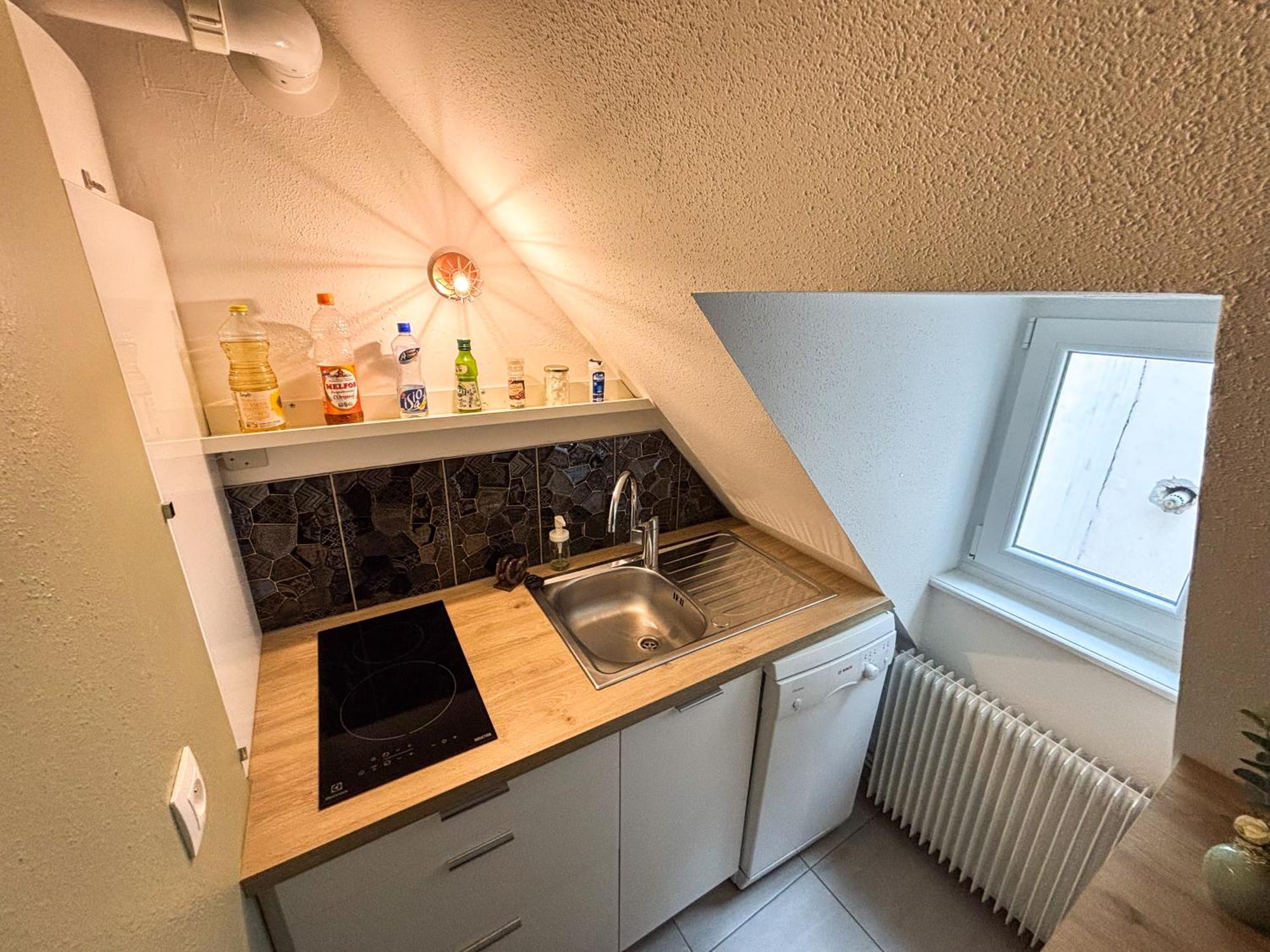 L'harmonie Des Combles - Proche Gare - Petite France - Commerces A Proximite Apartment