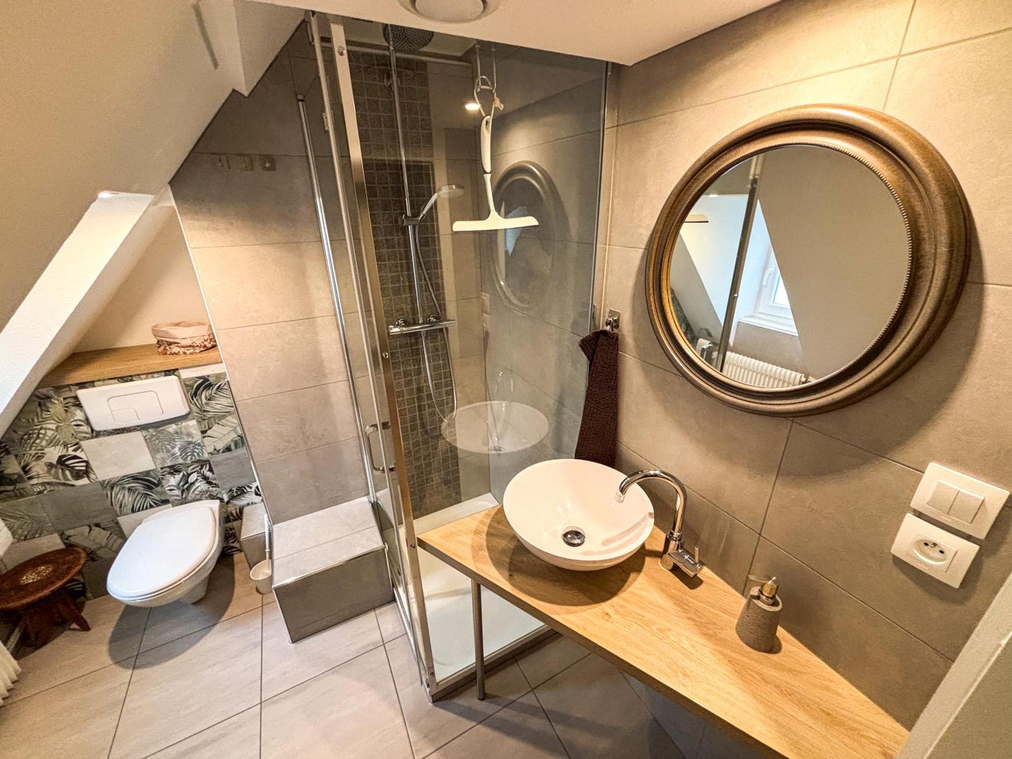 Apartment L'harmonie Des Combles - Proche Gare - Petite France - Commerces A Proximite Strasbourg