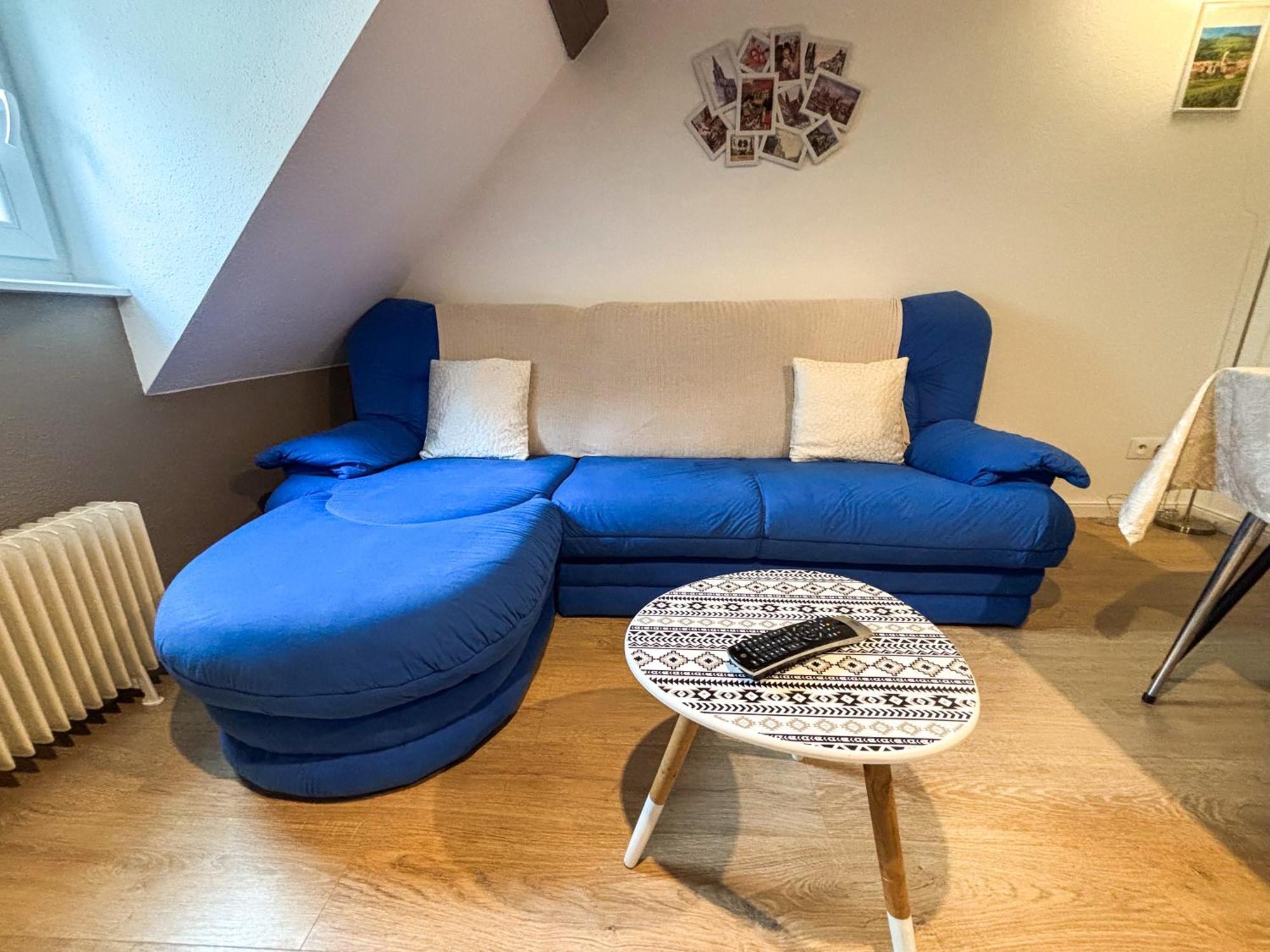 Apartment L'harmonie Des Combles - Proche Gare - Petite France - Commerces A Proximite Strasbourg